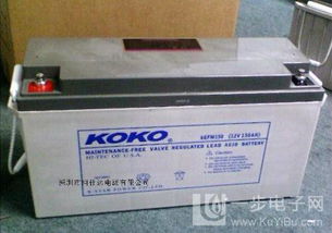 供应KOKO可可蓄电池12v38ah铅酸蓄电池产品价格高清大图